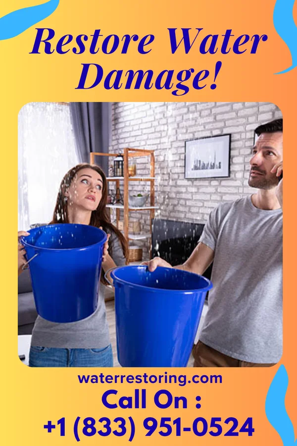 water restoration Master Drying Solutions Dupont