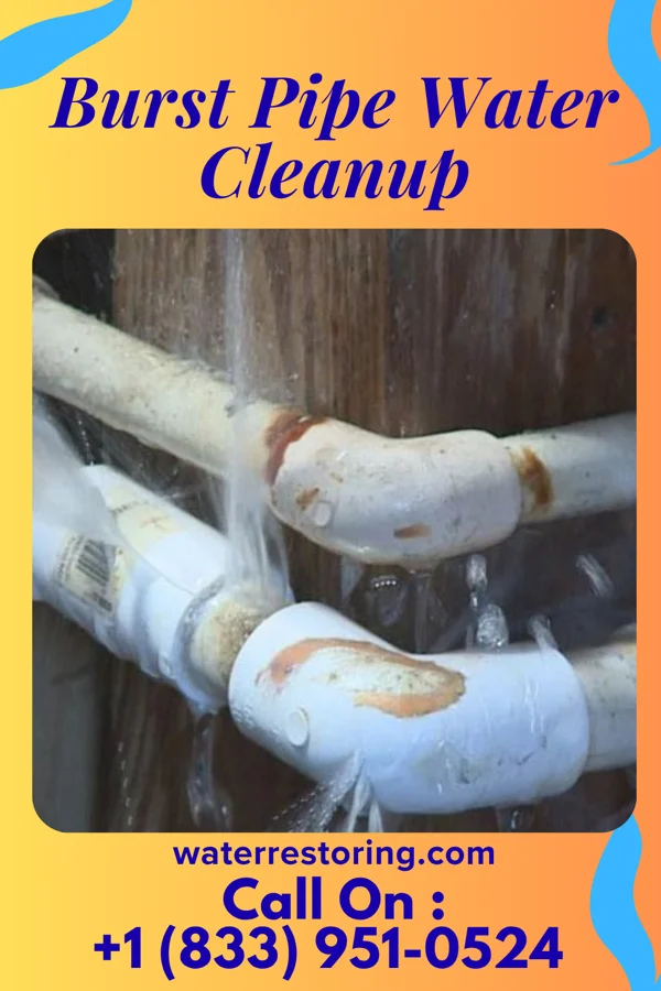 Burst Pipe Water Cleanup in Dupont, OH