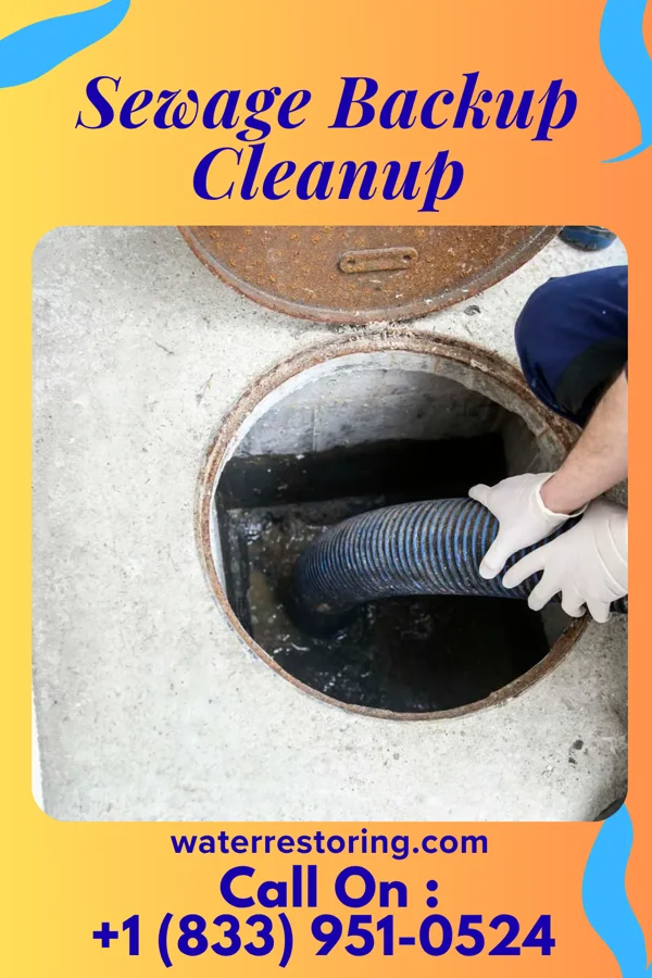 Sewage Backup Cleanup in Dupont, OH