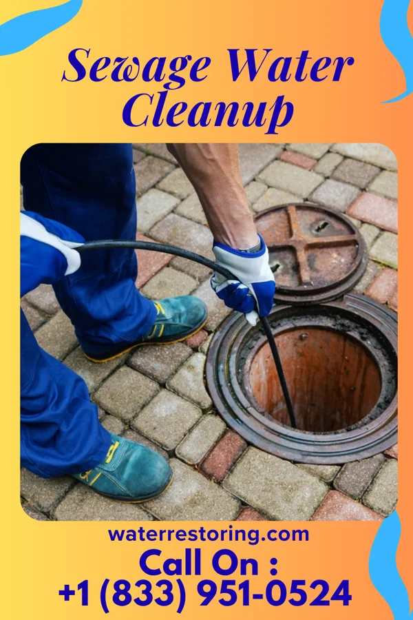 Sewage Water Cleanup in Dupont, OH