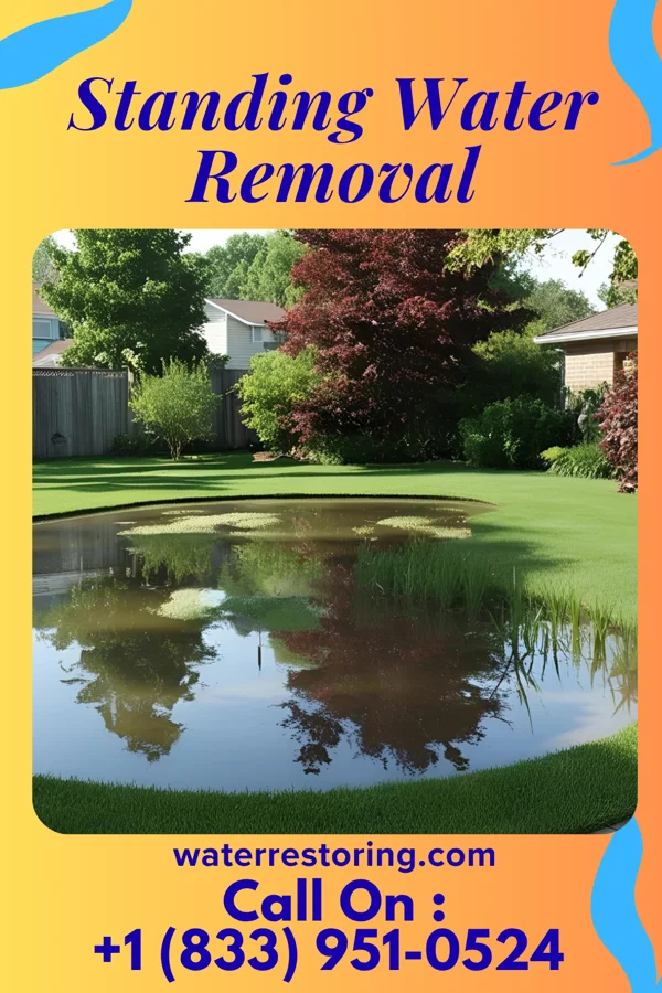 Standing Water Removal in Dupont, OH